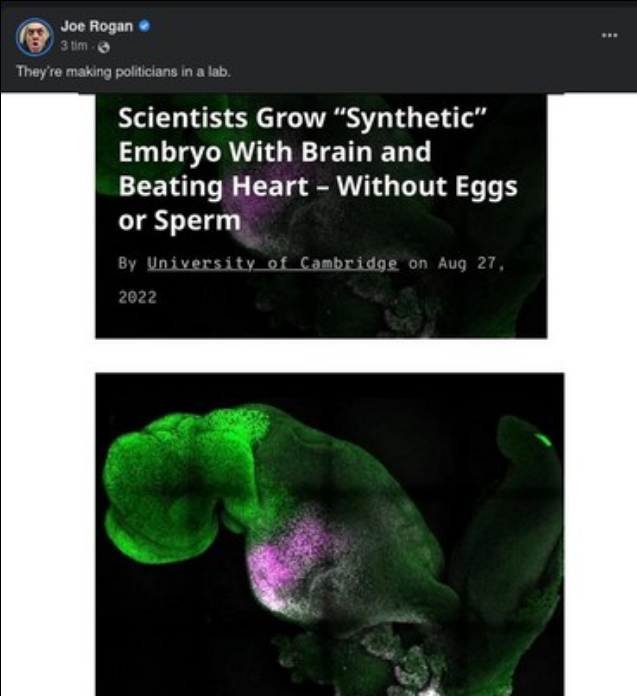 Embryoodling Utan Ägg & Spermie