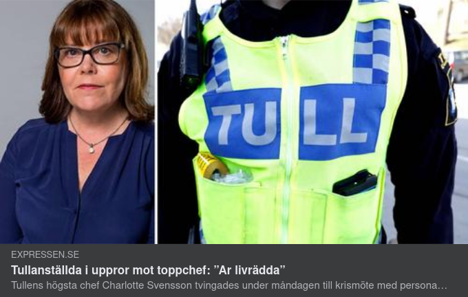 Ledarskapsutveckling Inom Tullen