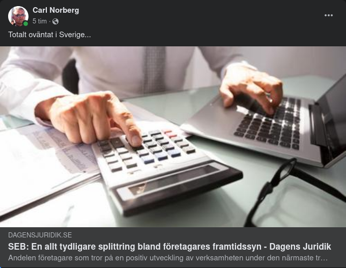 Tydligt Splittrad Företagarframtidssyn