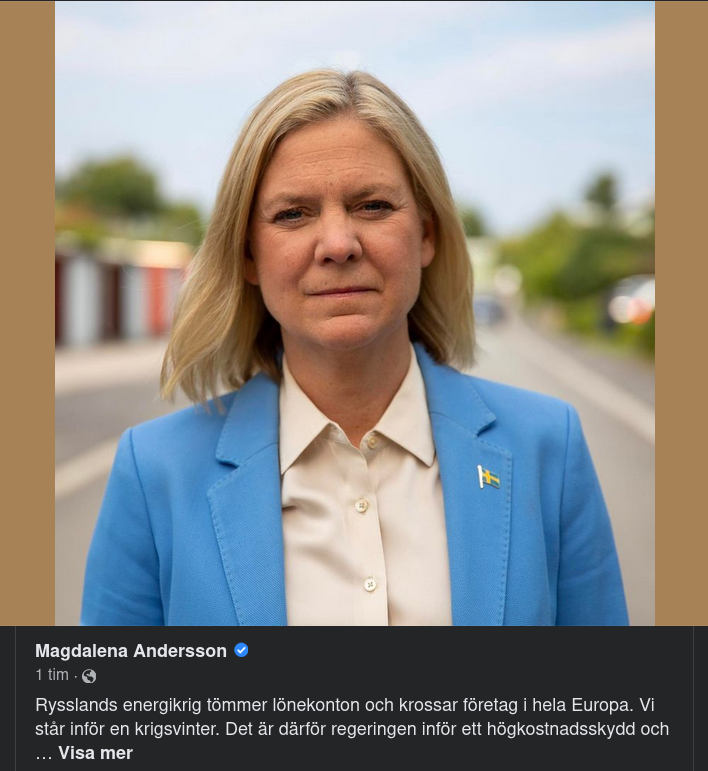 Magdalena Om Elpriser I En Krigsvinter