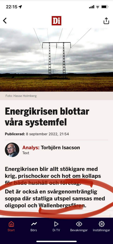 Systemfelsblottande Elektrisk Soppa Med Statliga Utspel, Oligopol & Wallenbergsfären