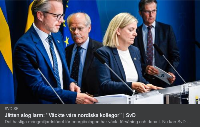 Fortum, Elmarknaden & Det Valutafinansiella systemets Stabilitet