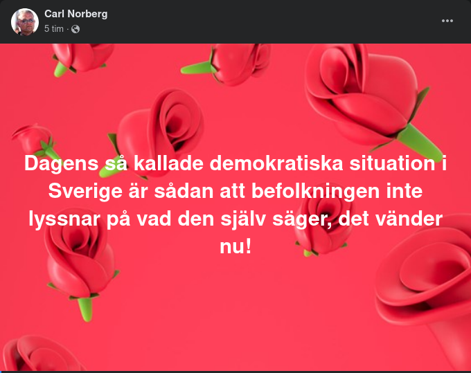 Dagens Svenska Demokratiska Situation