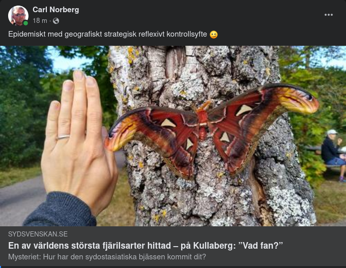 Atlasspinnare På Kullaberg