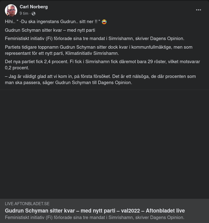 Gudrun Kvar Med Nytt Parti