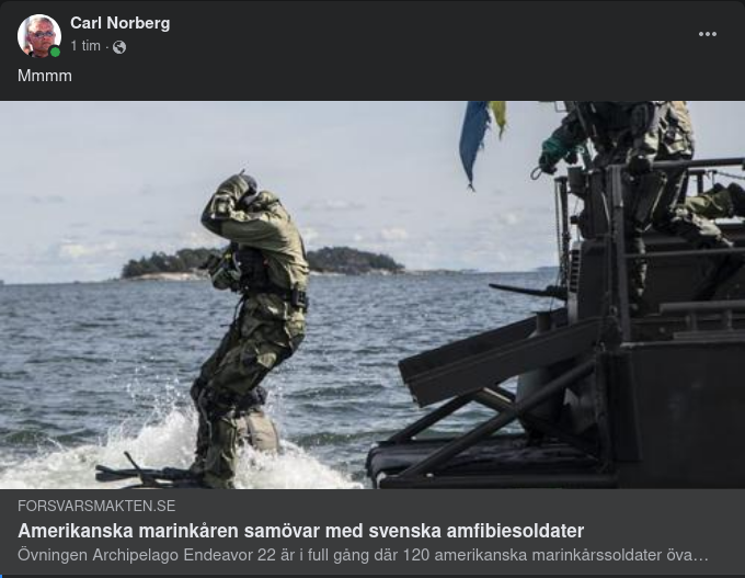 Amerikanska Marinen & Svenska Amfibiesoldater Samövar