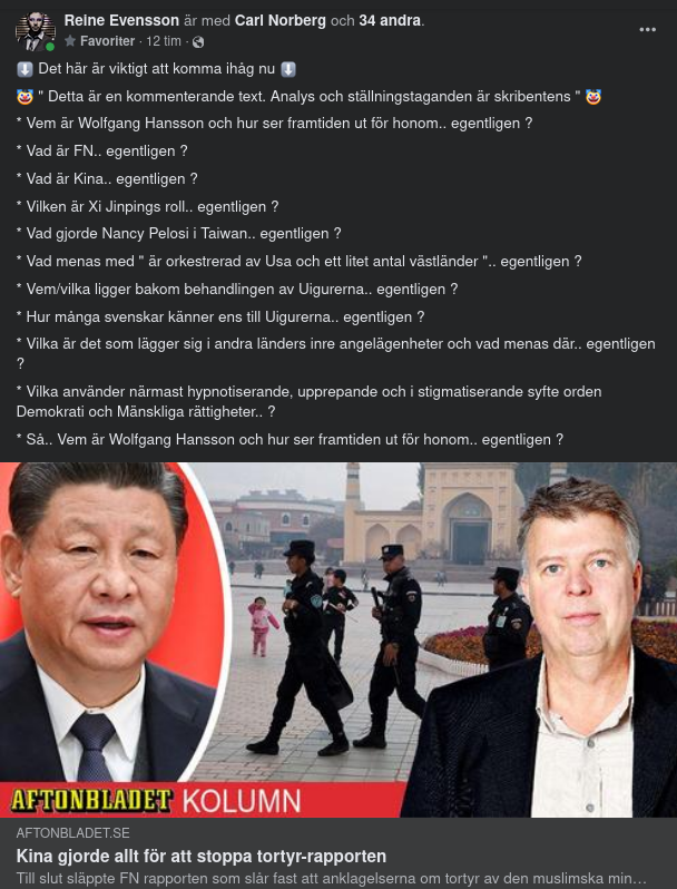 Woffie Om Kina & Tortyrrapporten