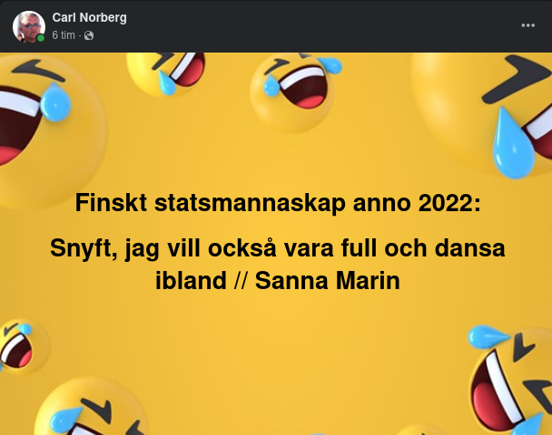 Finskt Statsmannaskap Anno 2022