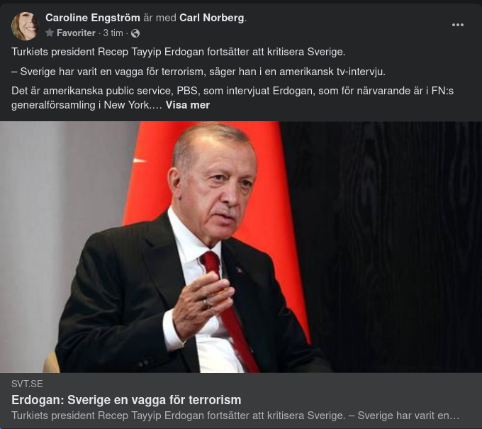 Erdoğan Säger Att Sverige Är En Terroristvagga