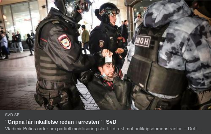 Ryskt Internstädande