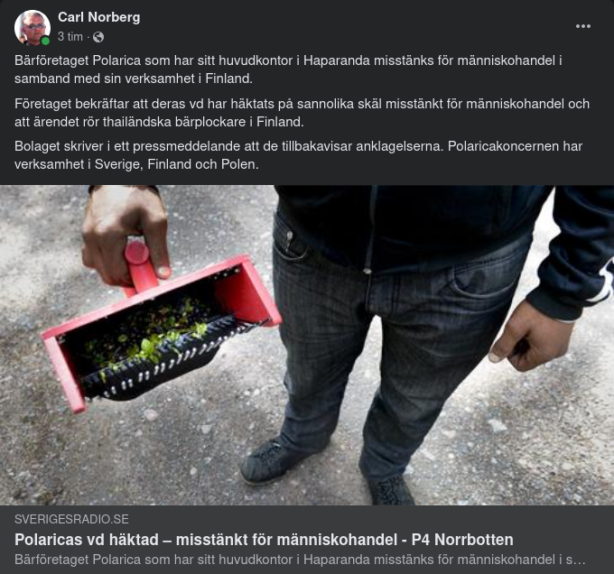 Bärföretaget Polaricas VD Häktad För Människohandel