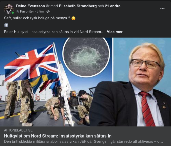Hultqvist & Nord Stream - Insatsstyrka Kan Sättas In