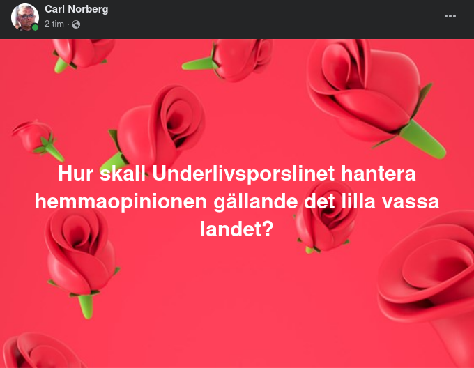 Underlivsporslinsk Vass Liten Hanteringsfråga