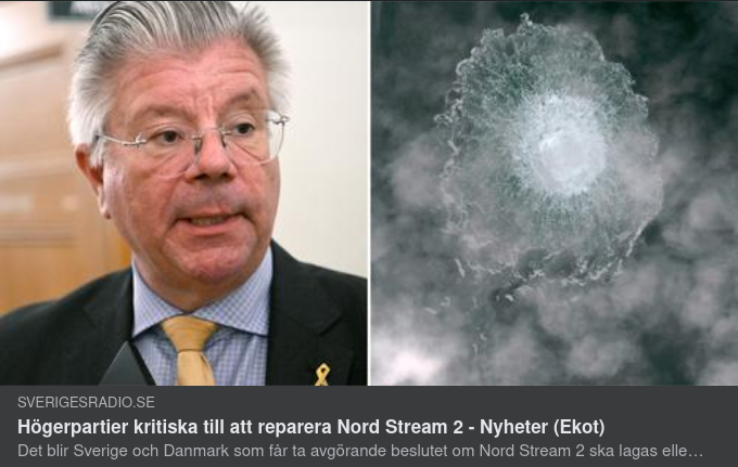 Reperationskritik Från Höger