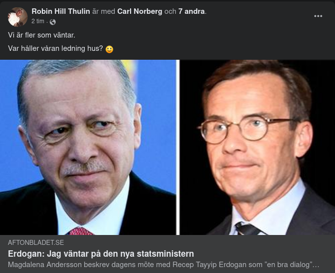 Erdoğan I Väntan På Ny Statsminister