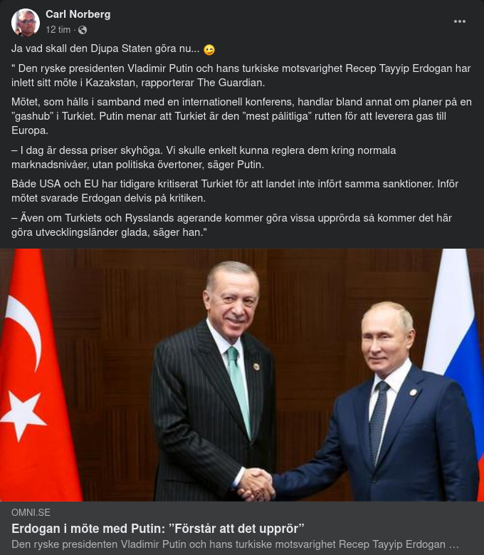 Erdogan & Putin Upprör Vissa Djupt