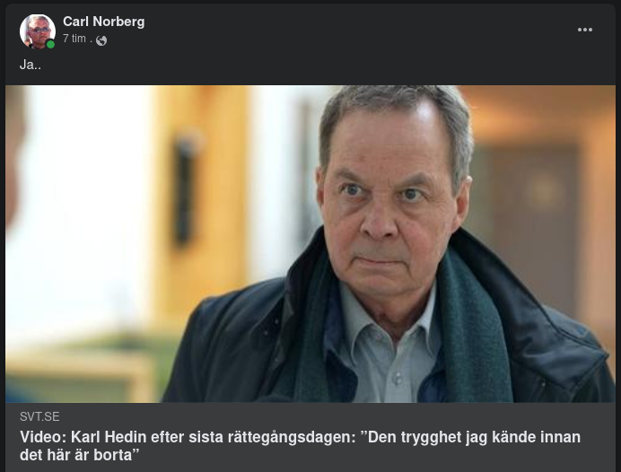 Karl Hedin Efter Sista Rättegångsdagen
