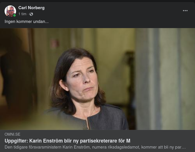 Karin Enström Ny Partisekreterare För M
