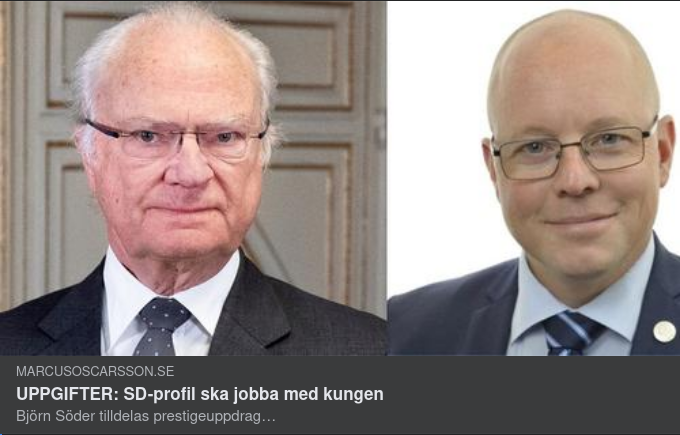 Monetärmekaniske Björne Får Ordinarie Ledamotsplats I Kungligt Glänsande Utrikesnämnd