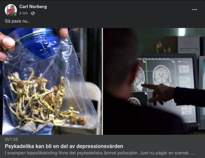 Svampigt I SVT
