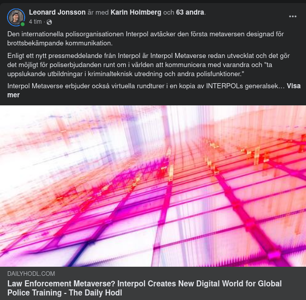 Metaverse För Interpol