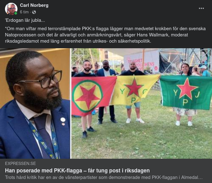 Tung Riksdagspost För PKK-Flaggande Vänsterpartist