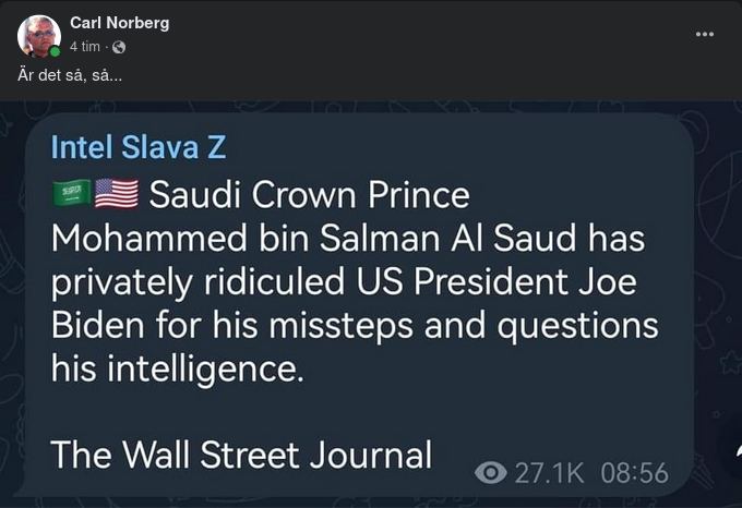 MbS & Underlivsporslinets Relation