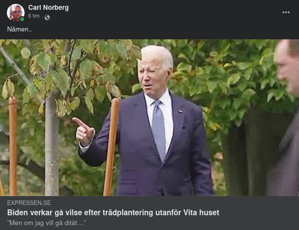 Trädgårdsvilset Underlivsporslin