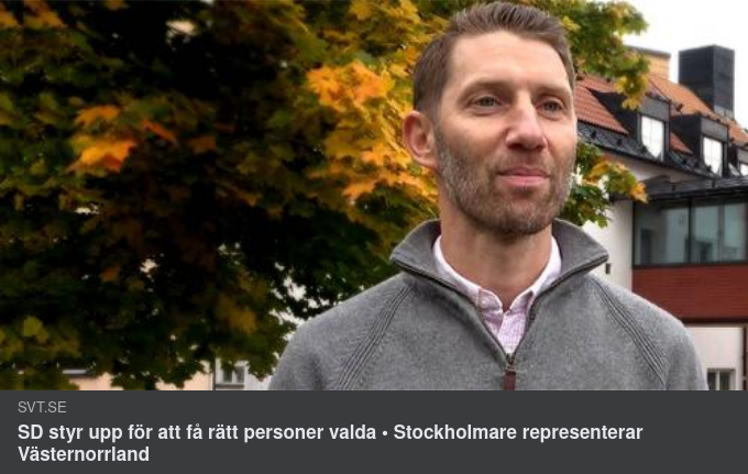 Representationssäkrande Demokratipartier