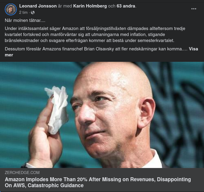 20% Implosion För Amazon