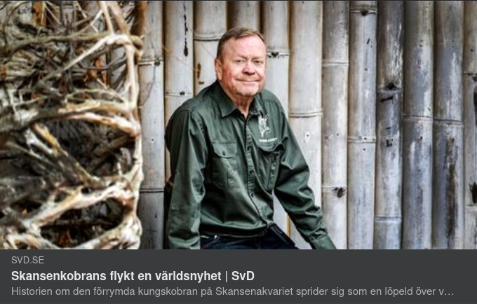 Globalt Slingrande Ormhistoria