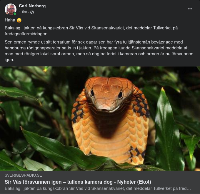 Orm Försvunnen Igen