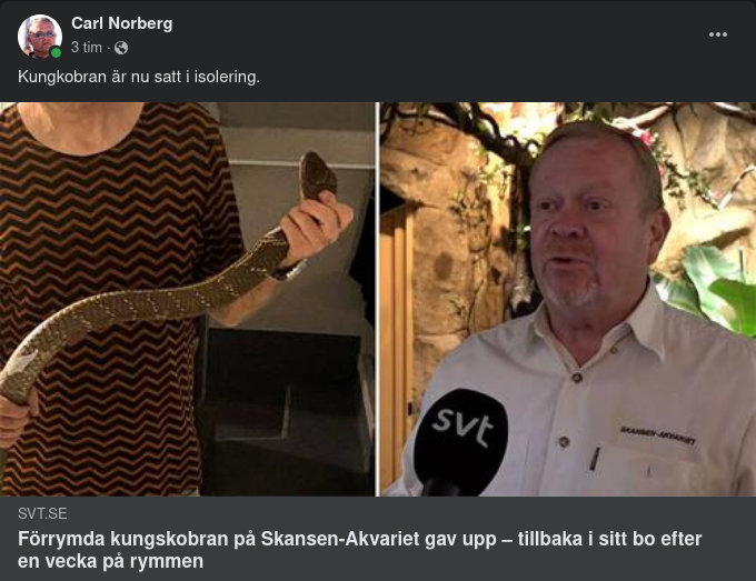 Kungskobran Satt I Isolering