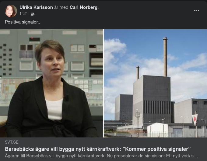 Barsebäcksägare Vill Bygga Nytt