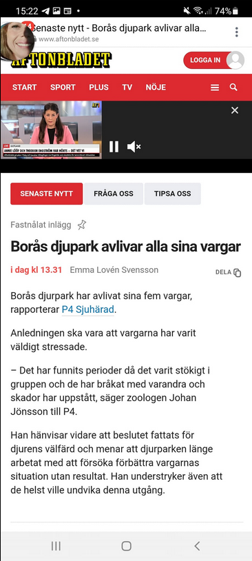 Borås Djurpark Avlivar Vargarna