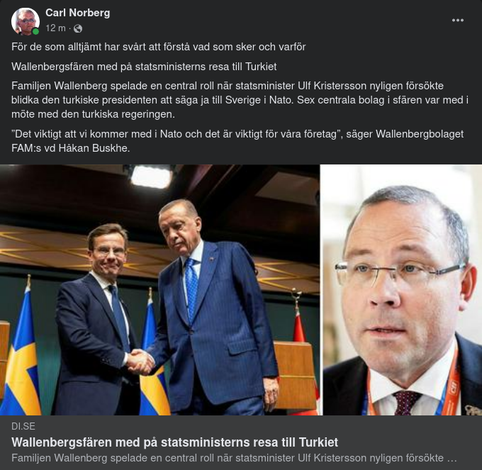 Medföljande Sfär På Turkietresa