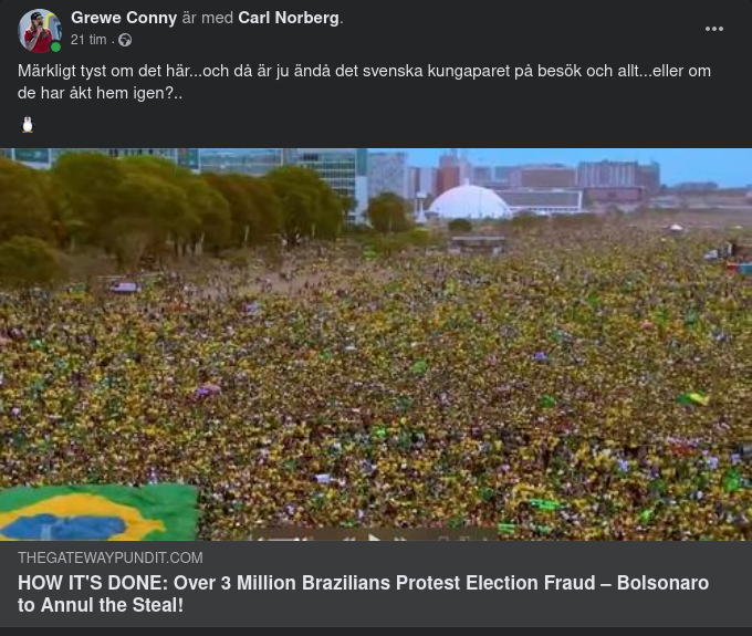 Medial Tystnad Om Brasilianskt Väsen