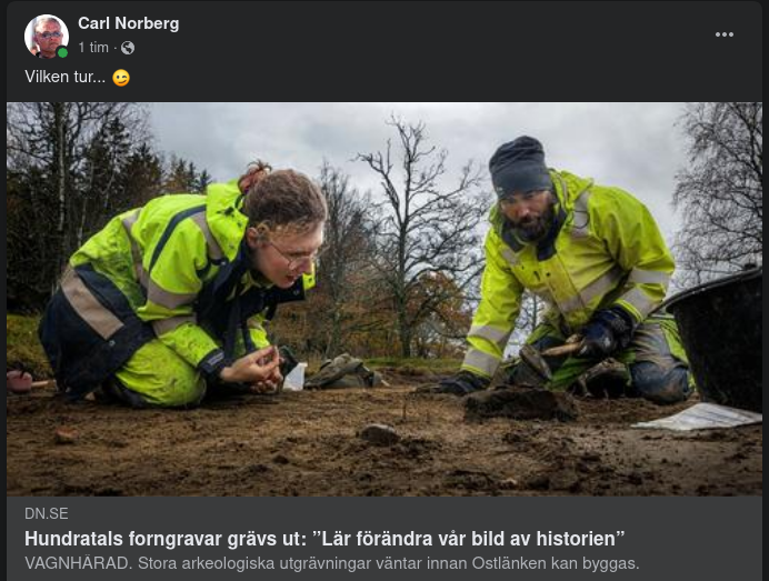 Historiebildsförändrande Forngravsutgrävningar