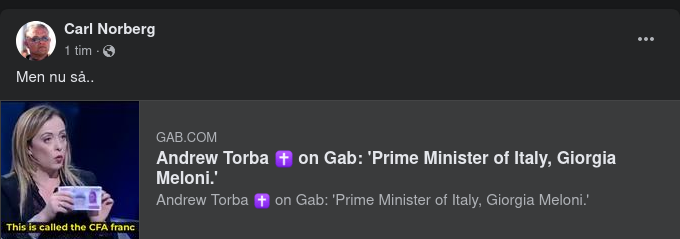 Italiensk Frankrikekritik