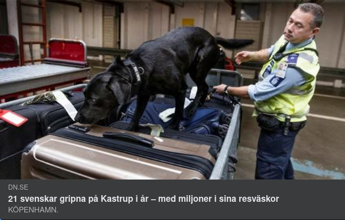 Penningsmuggling & Det Svenska Rättssystemet