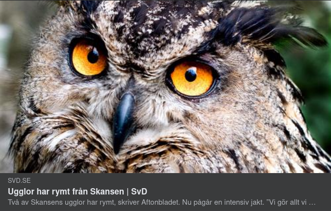 Skansenrymmande Berguvar