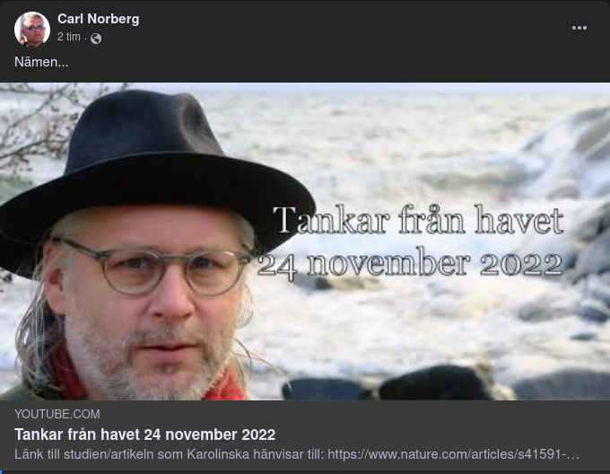 Stensöiga Havstankar 24 November