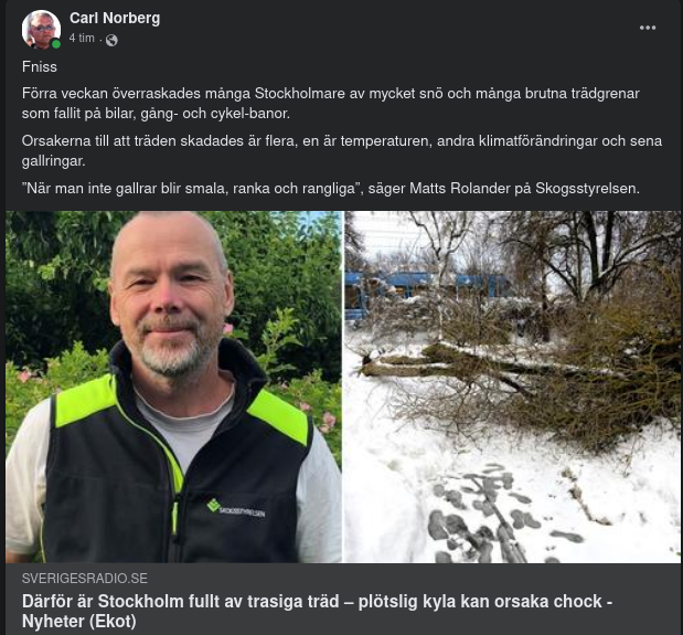 Trasiga Trädförklaring