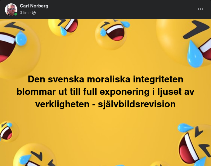 Blommande Självbildsrevision
