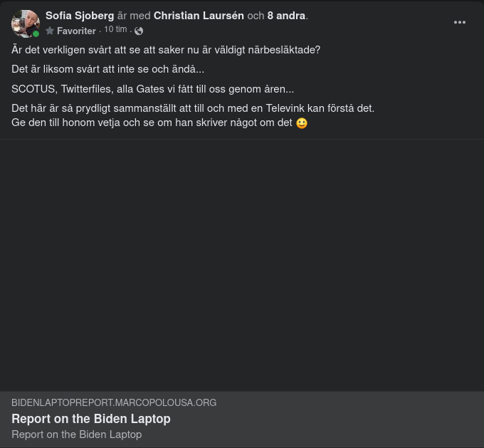 Hunters Laptop Sammanställd