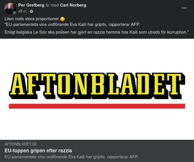 EU-Topp Gripen Efter Razzia