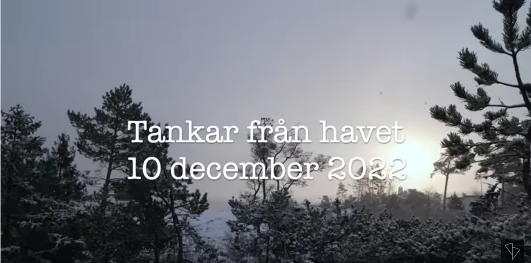 Havstankar 10 December