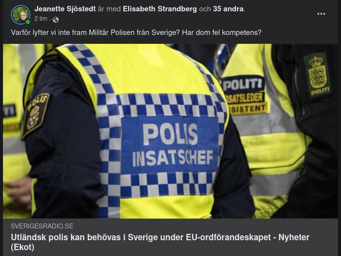 Svenskt Behov Av Utländsk Polis
