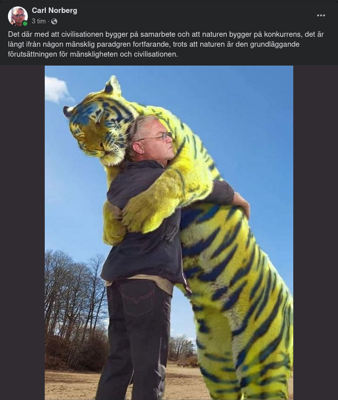 Natur & Samhälle - Konkurrens & Samarbete