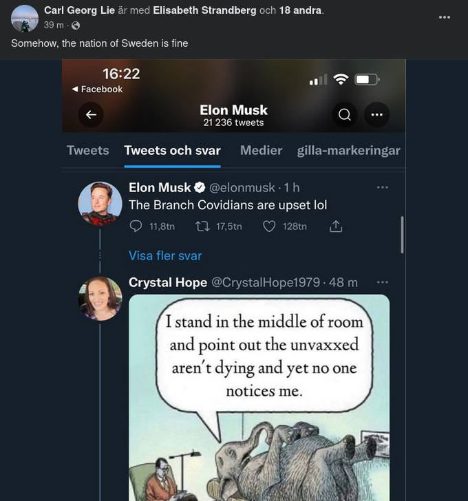 Covidfint Med Sverige